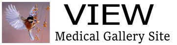 VIEW  Medical Gallery Site